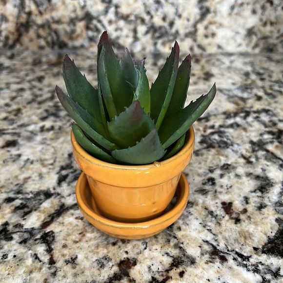 Mini Faux Cactus - Picture 3 of 5